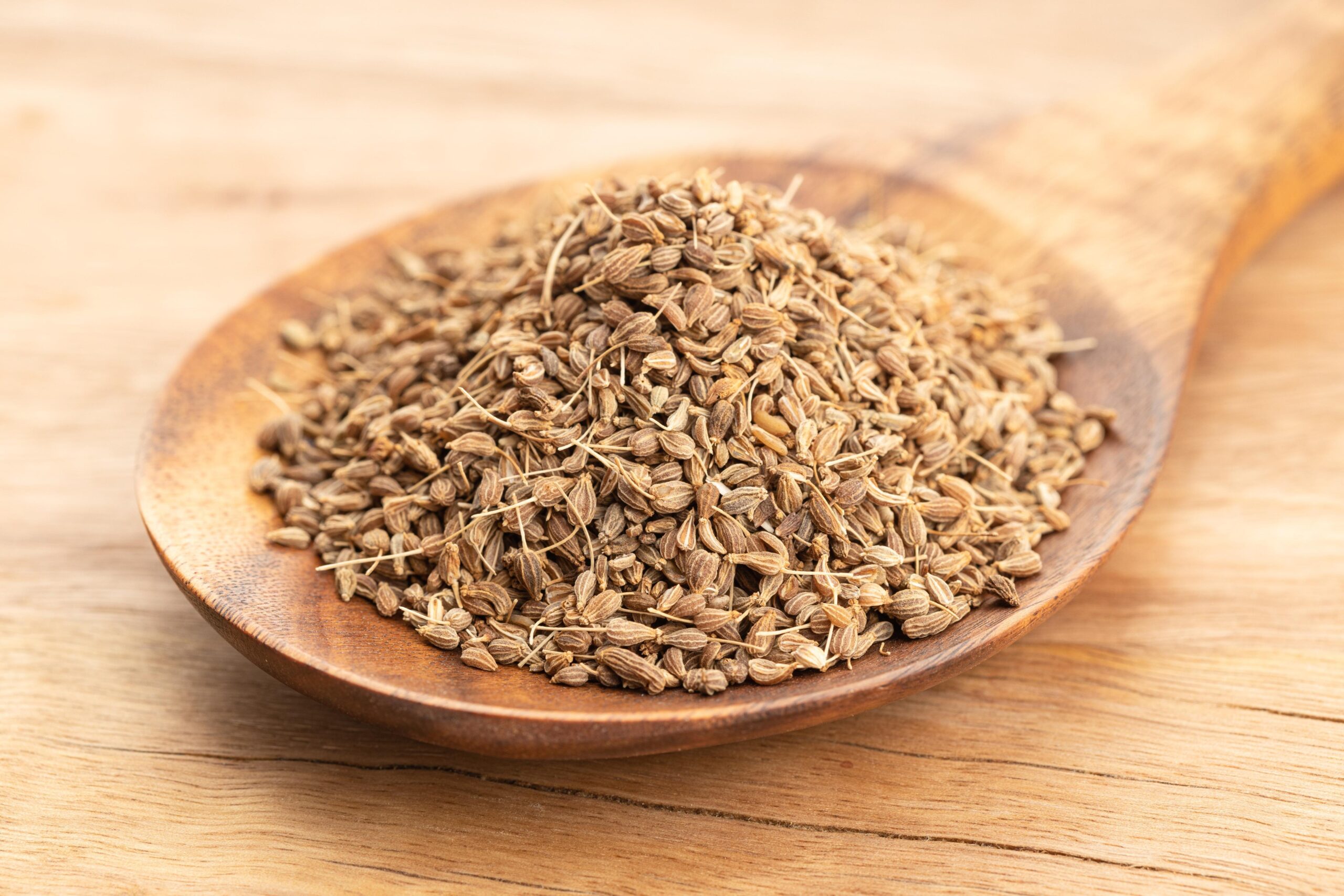 Anise4