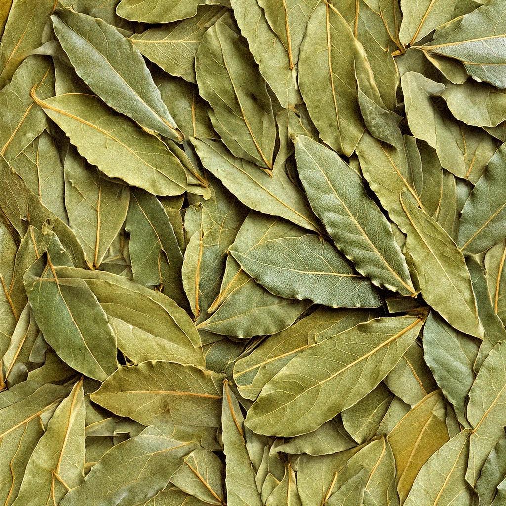 Bay Leaves
